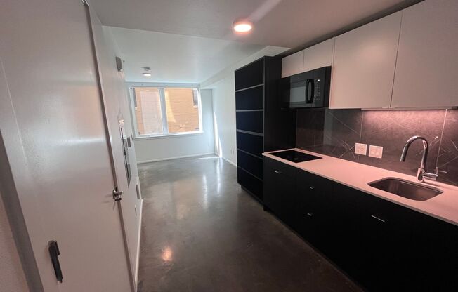 Studio, 1 bath, 310 sqft, $1,225, Unit 404