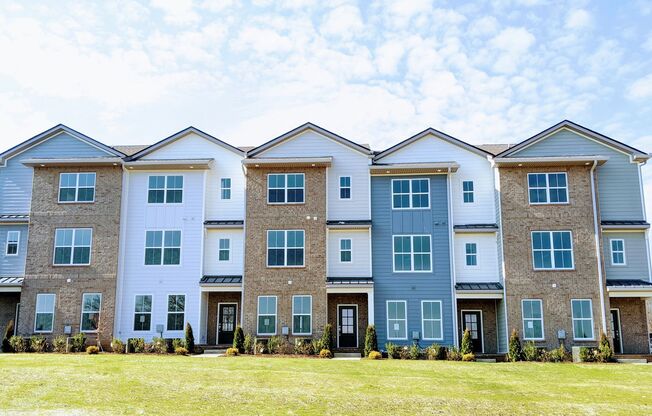 Luxury Town Home - Williamson County - End Unit