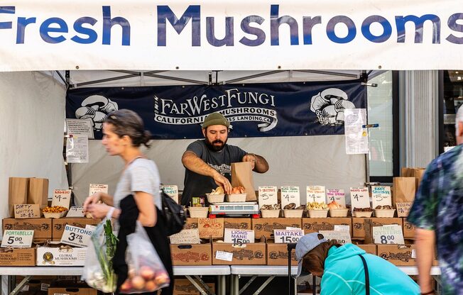Man selling mushrooms at farmers market
