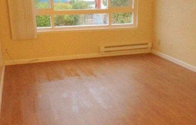 1 bed, 1 bath, 500 sqft, $1,545, Unit 11