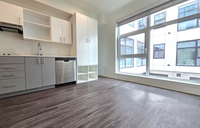 Studio, 1 bath, 226 sqft, $1,174, Unit 317
