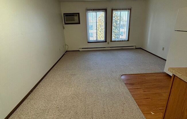 Studio, 1 bath, 360 sqft, $600, Unit 32