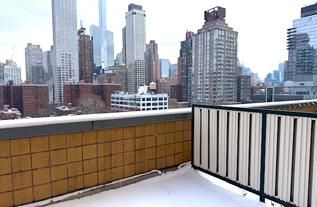 1 bed, 1 bath, $4,000, Unit C15E