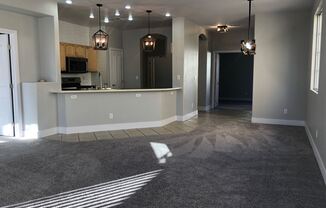 1161 DANA MAPLE COURT