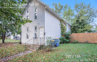 733 LIVINGSTON AVE NE