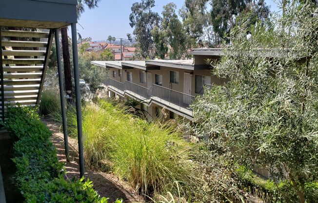 2 beds, 1 bath, 895 sqft, $2,595, Unit C02