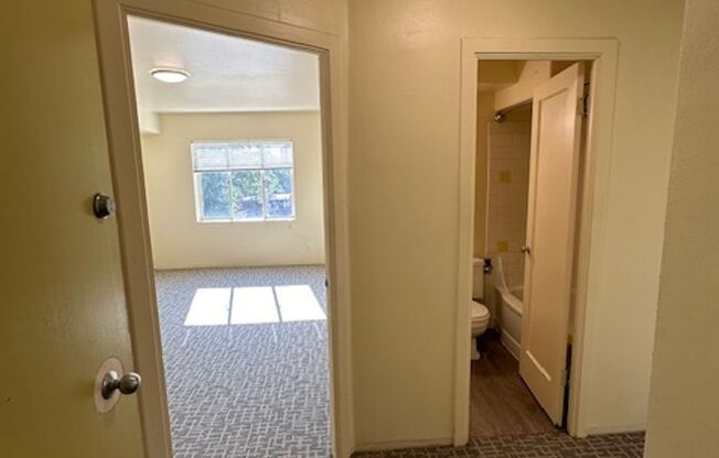 1 bed, 1 bath, 548 sqft, $1,347, Unit 505A