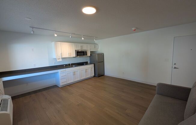 Studio, 1 bath, 487 sqft, $1,010, Unit 203