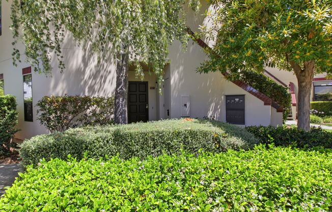 101 SHOREBIRD CIR