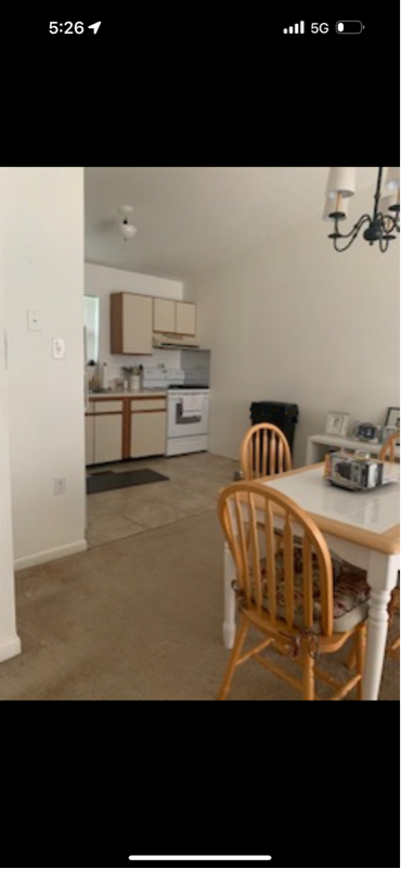 1304 OLD PINE CT