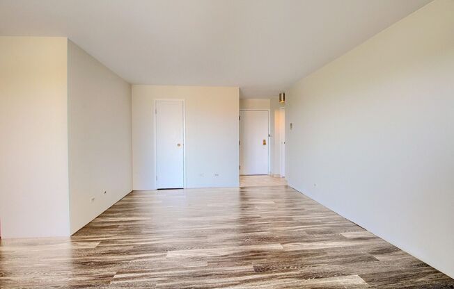 Gorgeous highrise apartment in Washington Park!