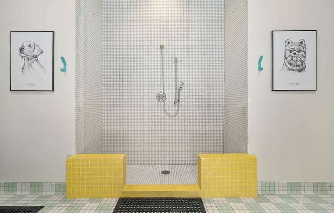 Dog Wash Station with yellow bench and a shower.