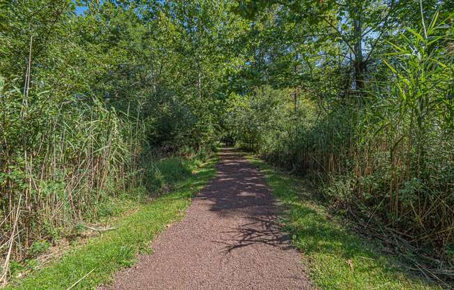 Nature Trail at Heritage Court, Ewing, New Jersey