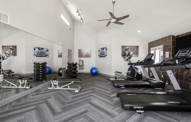Fitness Center - Treadmills and Weights