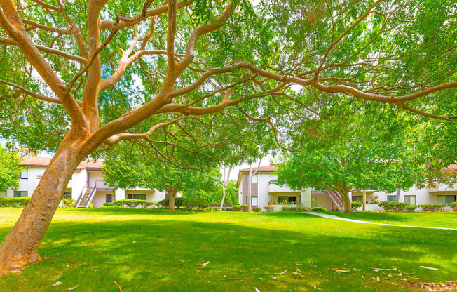 Beautiful Greenbelt at Village Park Apartments in Encinitas CA
