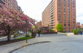 98-01 67th Ave.