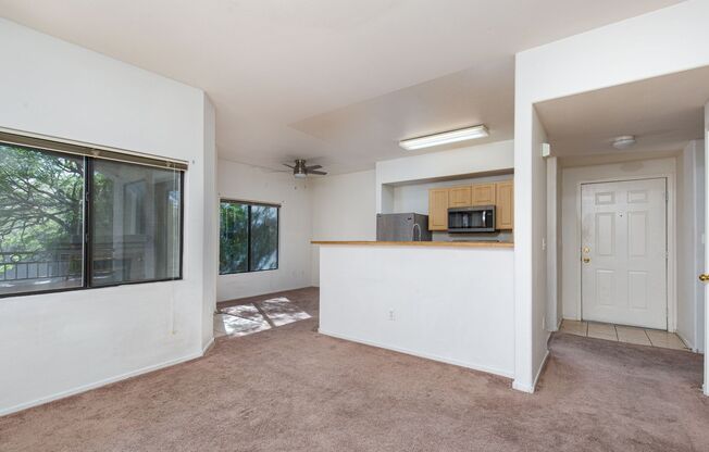 1 bed, 1 bath, $1,250