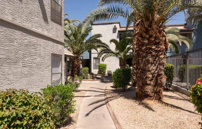a walkway with palm trees in front of a building