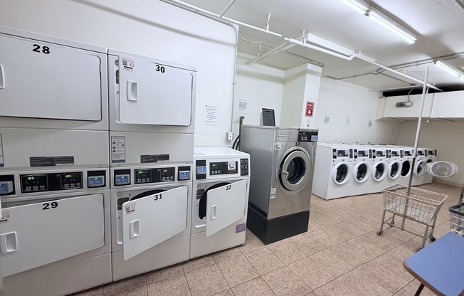 Studio, 1 bath, 477 sqft, $2,625, Unit 206