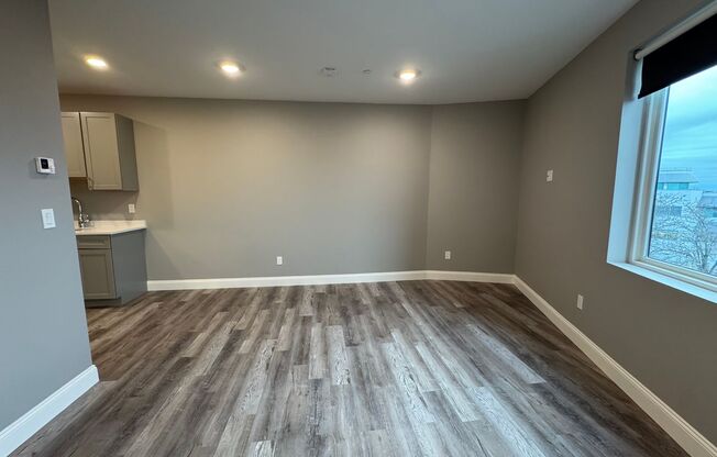 Studio, 1 bath, 362 sqft, $2,050, Unit 307