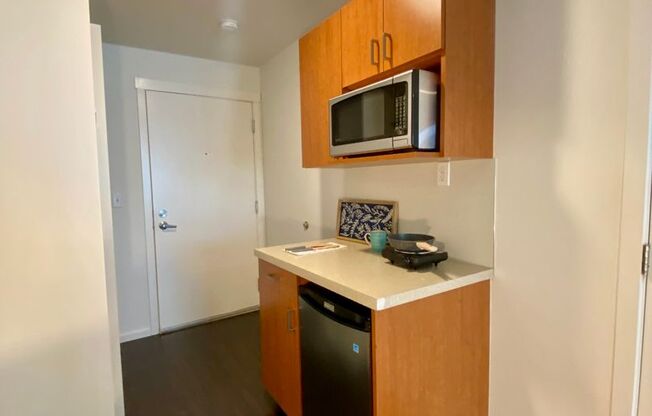Studio, 1 bath, 175 sqft, $1,450, Unit 1301