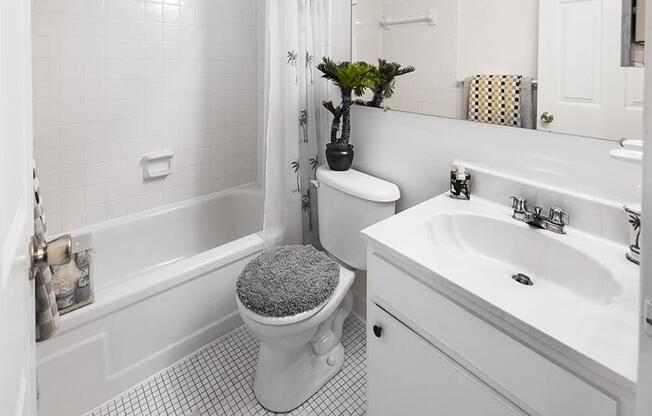 Shadow Hill Apartment Model