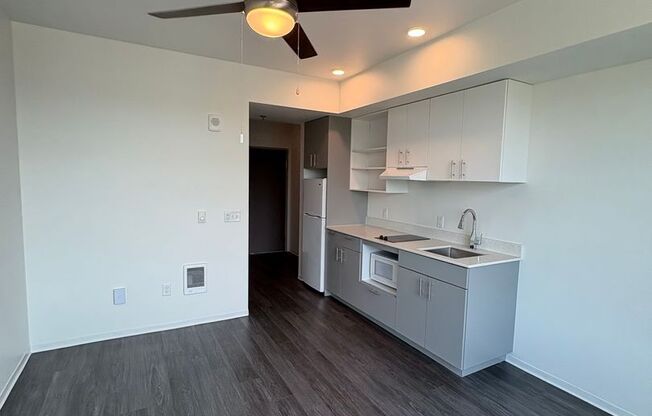 Studio, 1 bath, 260 sqft, $1,090, Unit 502