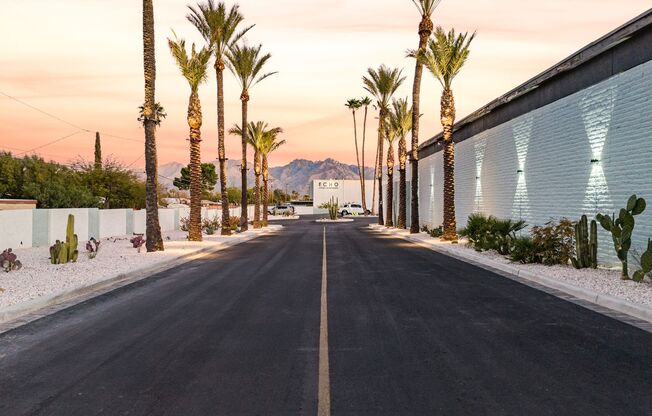 Echo Luxury Apartments