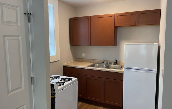 Studio, 1 bath, 400 sqft, $625, Unit Unit 413