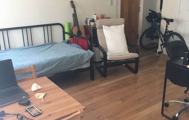 Studio, 1 bath, 270 sqft, $965, Unit 100