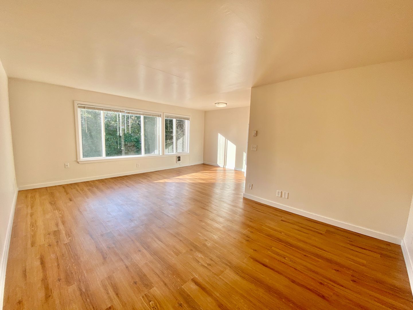509 Apartments