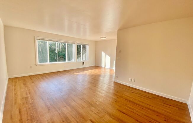 509 Apartments