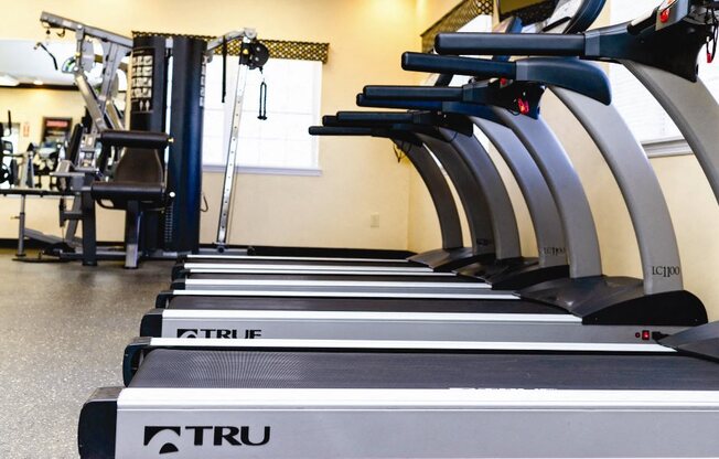 treadmills all in a row at Heatherwood House at Port Jefferson, Port Jeff Station