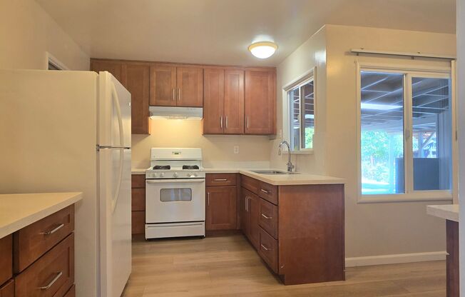 Cute Single Family Home with Large Bonus Room, Updated Kitchen, Wood Floors, Fresh Paint, Nice Yard!