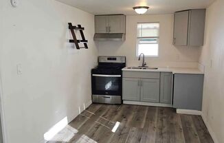 1 bed, 1 bath, $1,500