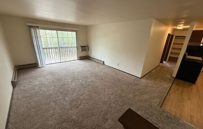 Williamsburg Flats 214