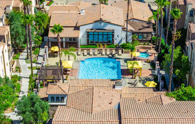 A large swimming pool surrounded by a tiled patio and palm trees.
