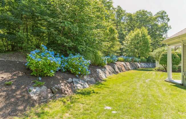 a garden with a stone retaining wall and blue flowers