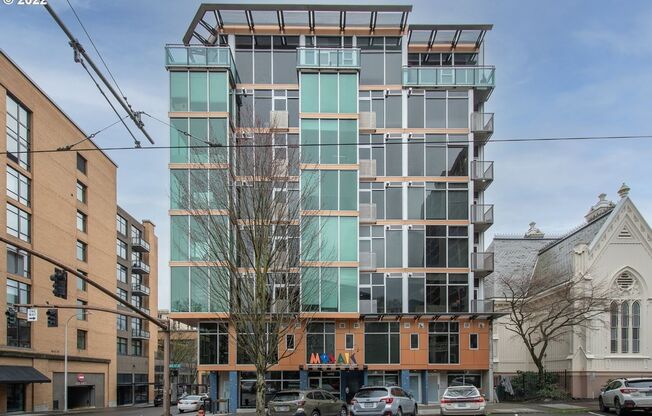 ONE FREE MONTH - Downtown Studio w/gas fireplace/Juliette balcony/additional storage (Portland State University/OHSU)
