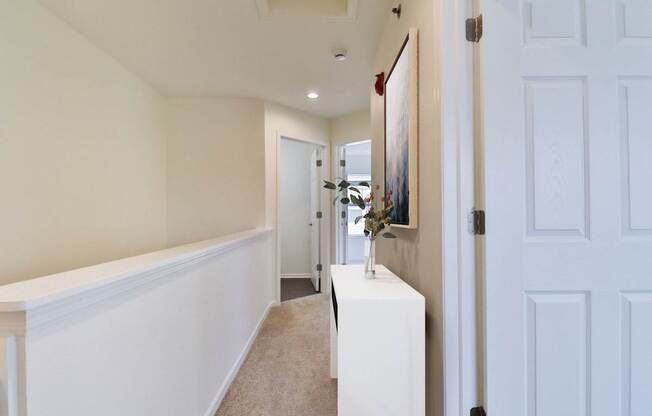 A hallway with a white door and a painting on the wall.