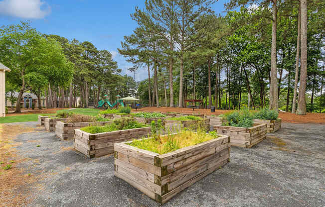 Community garden with raised beds and a playground in the background