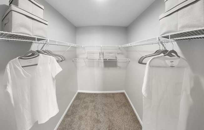 a walk in closet with white shirts hanging on racks and a carpet