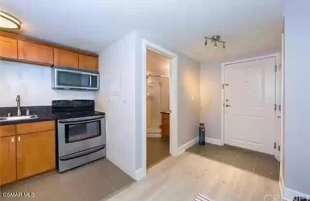 Studio, 1 bath, 352 sqft, $2,500, Unit 109