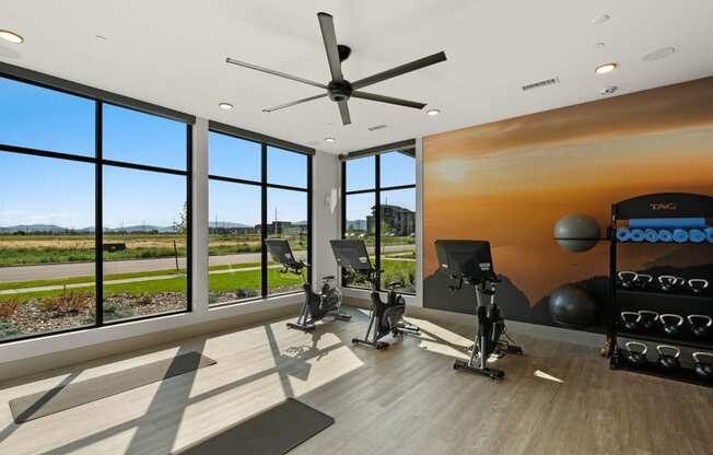 a home gym with windows and a view of a field