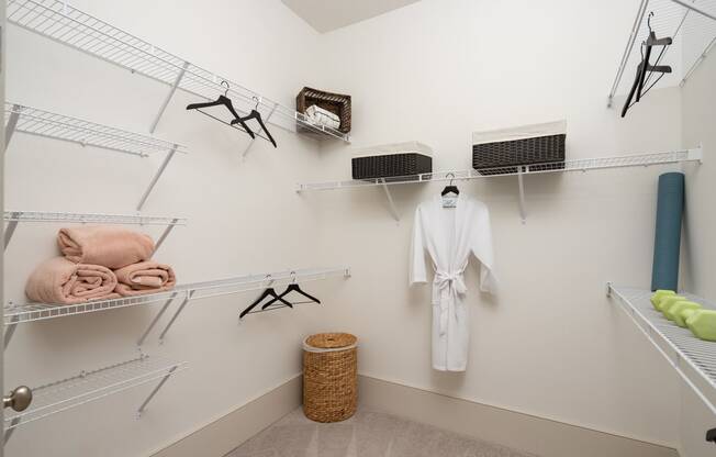 closet with robe and basket