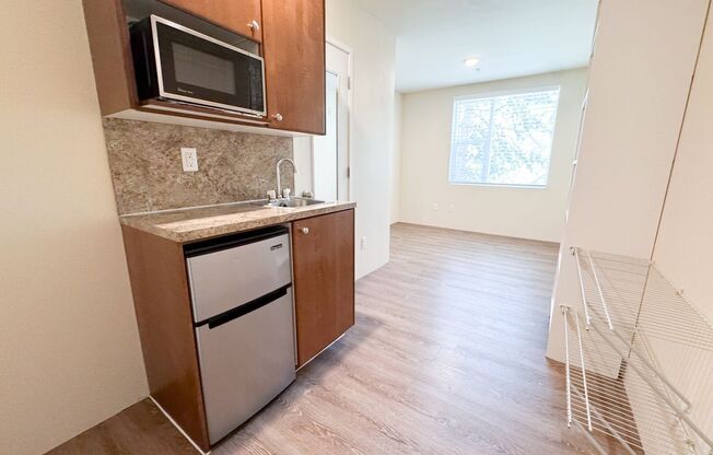 Studio, 1 bath, 154 sqft, $1,245, Unit 456