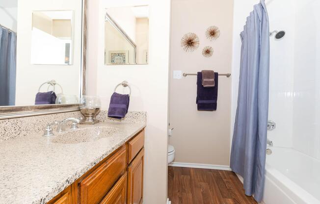 a room with a sink and a mirror