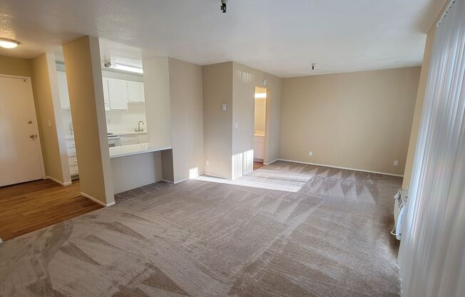 Studio, 1 bath, 500 sqft, $2,050, Unit 503