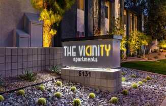 The Vicinity