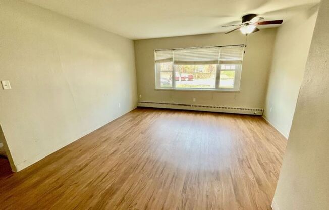 Studio, 1 bath, 450 sqft, $999, Unit 203